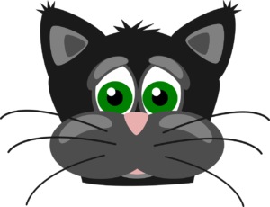 「猫のひげ」は英語でどう言う?体のパーツを英語で説明