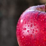 英語学習で重要な異文化理解:「Apple」と「リンゴ」の例から考える