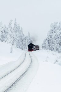 異文化の感性を伝えるということ:翻訳という創作・運営者コラム