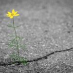 「亀裂」を英語で言うと：物や人間関係を表すフレーズ