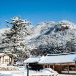 「趣(おもむき)」日本独特の感受性を英語にしてみよう。